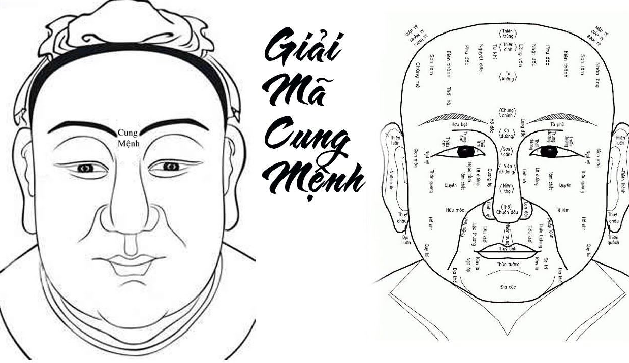 Tâm và Thần Thái Quyết Định Tướng Mạo